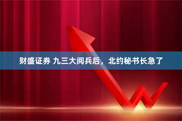 财盛证券 九三大阅兵后，北约秘书长急了