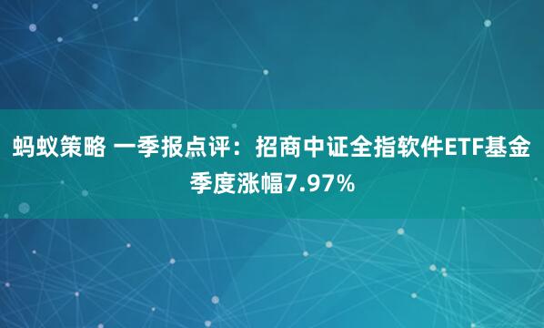 蚂蚁策略 一季报点评：招商中证全指软件ETF基金季度涨幅7.97%