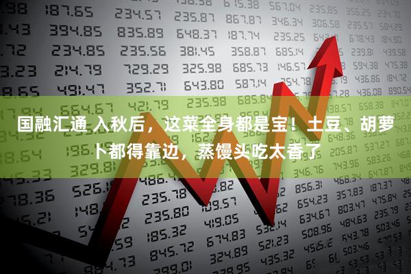 国融汇通 入秋后，这菜全身都是宝！土豆、胡萝卜都得靠边，蒸馒头吃太香了