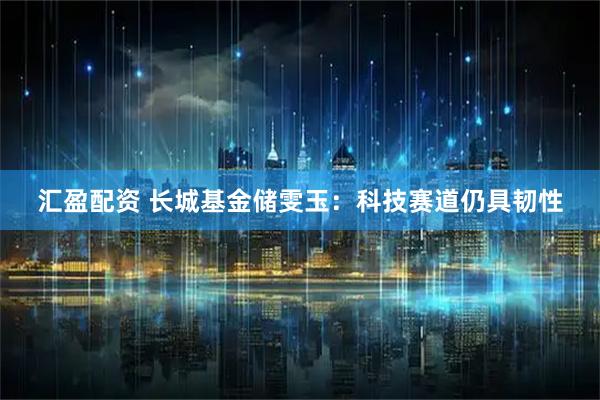 汇盈配资 长城基金储雯玉:科技赛道仍具韧性