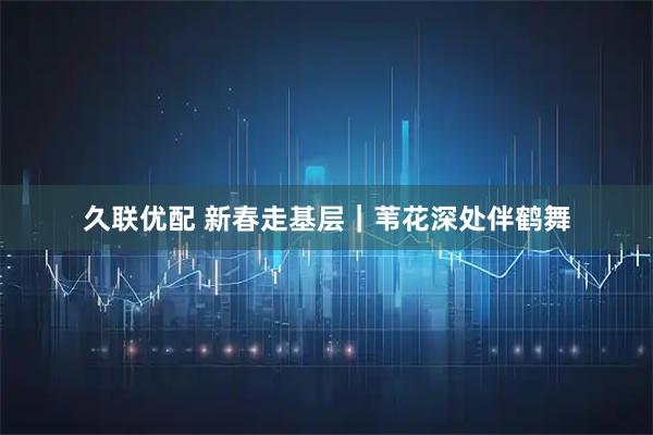 久联优配 新春走基层｜苇花深处伴鹤舞