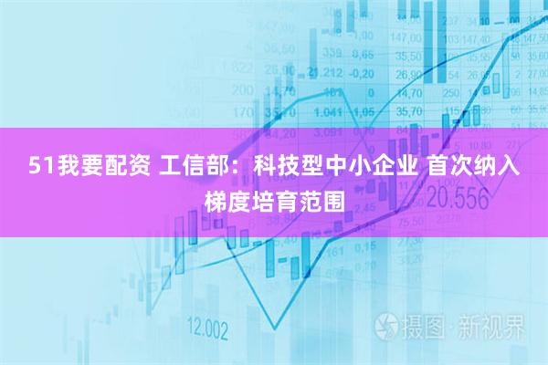 51我要配资 工信部：科技型中小企业 首次纳入梯度培育范围