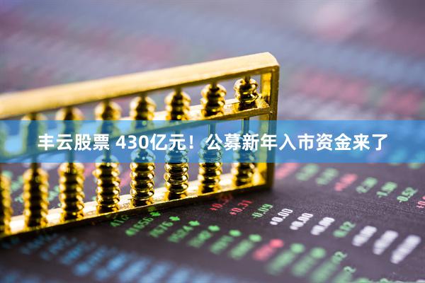 丰云股票 430亿元！公募新年入市资金来了