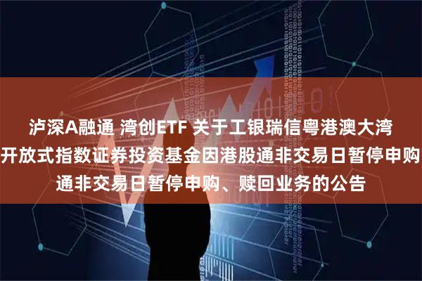 泸深A融通 湾创ETF 关于工银瑞信粤港澳大湾区创新100交易型开放式指数证券投资基金因港股通非交易日暂停申购、赎回业务的公告