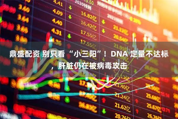 鼎盛配资 别只看 “小三阳”！DNA 定量不达标，肝脏仍在被病毒攻击