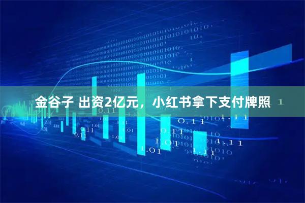 金谷子 出资2亿元，小红书拿下支付牌照