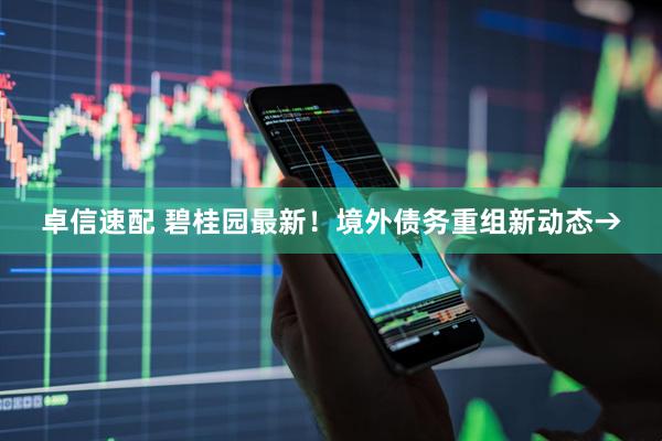 卓信速配 碧桂园最新！境外债务重组新动态→