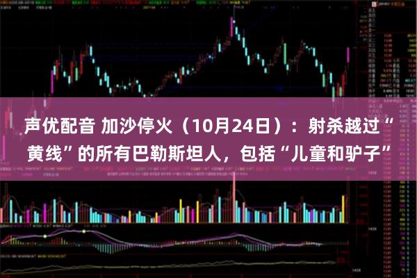 声优配音 加沙停火（10月24日）：射杀越过“黄线”的所有巴勒斯坦人，包括“儿童和驴子”